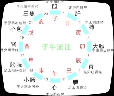 經絡時辰對照|十二經絡與時辰對照表